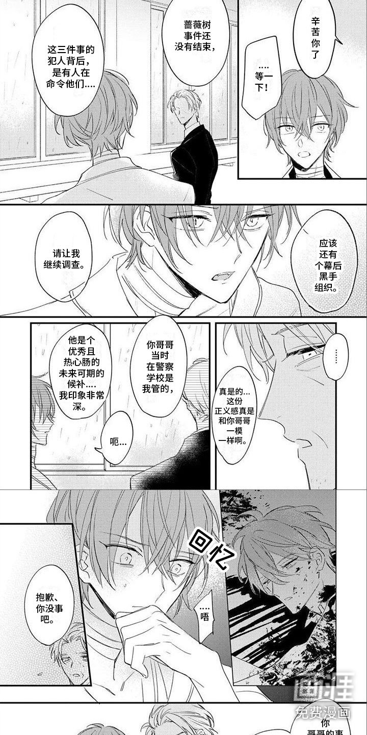第17章：注意安全