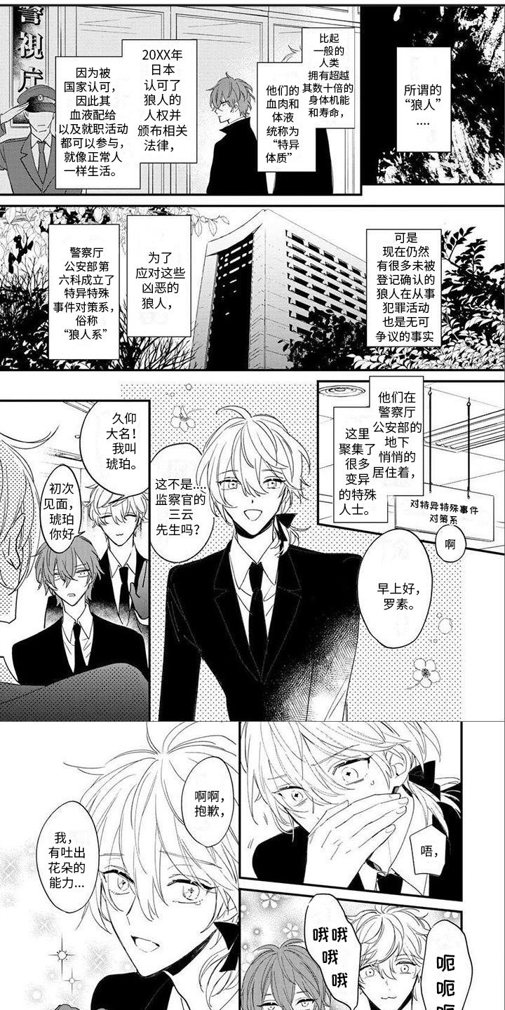 第2章：补血