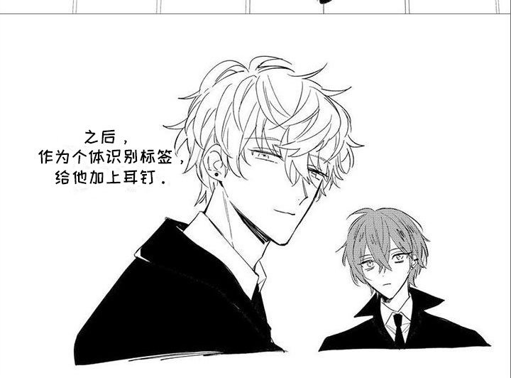 第5章：陪着你