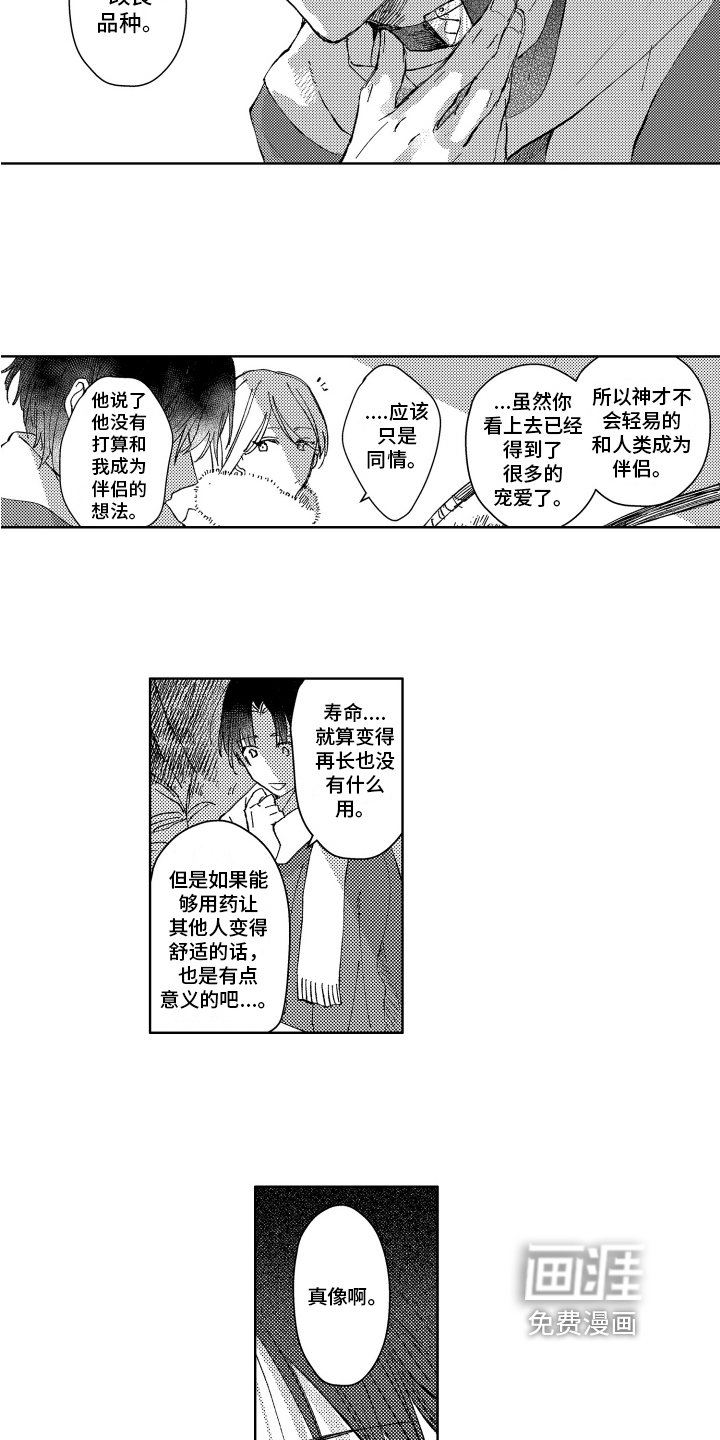 第11章：聊天