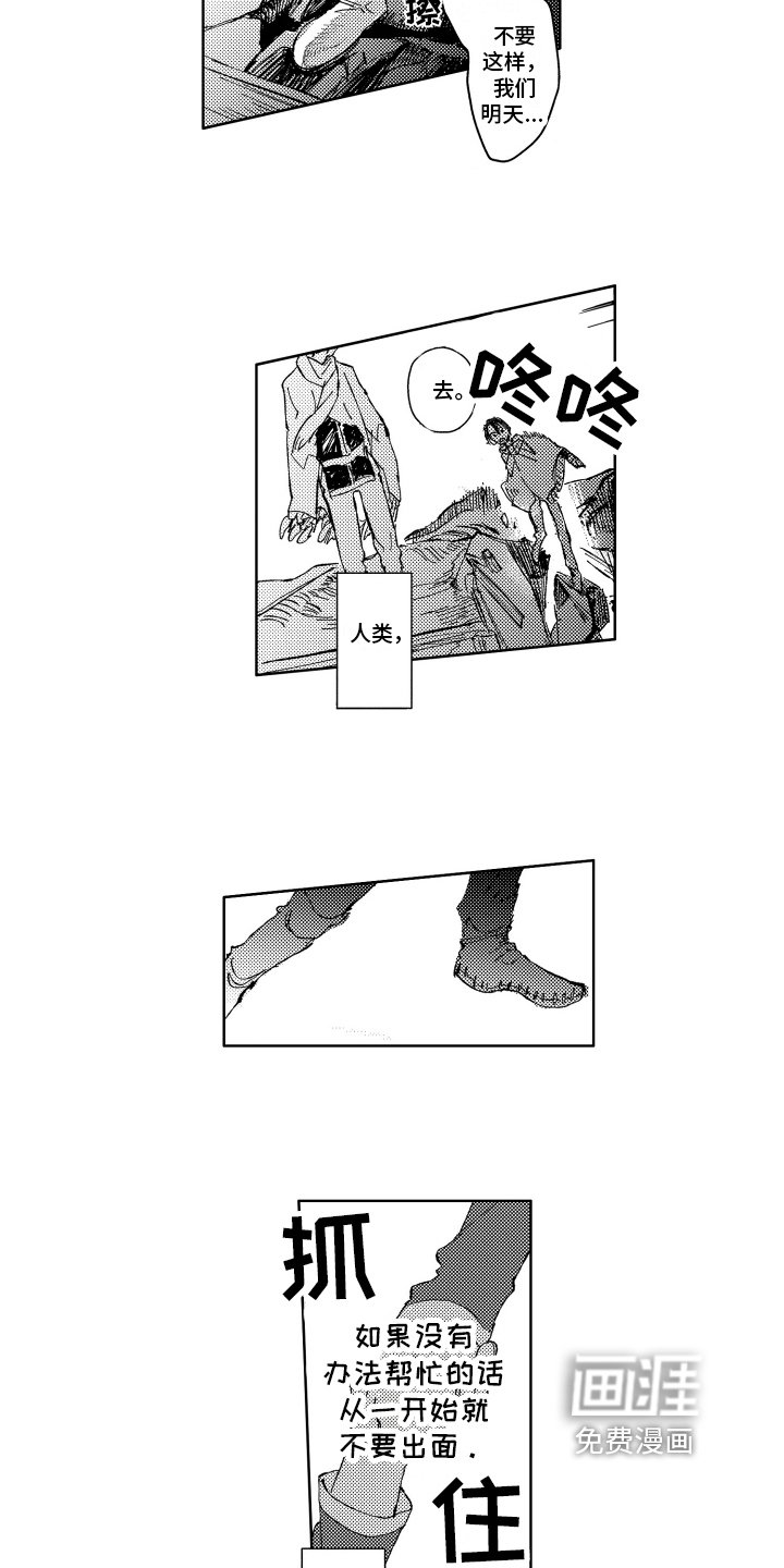 第13章：冲突