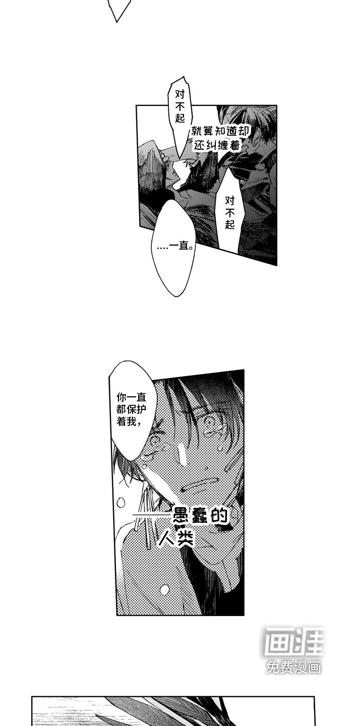 第13章：冲突