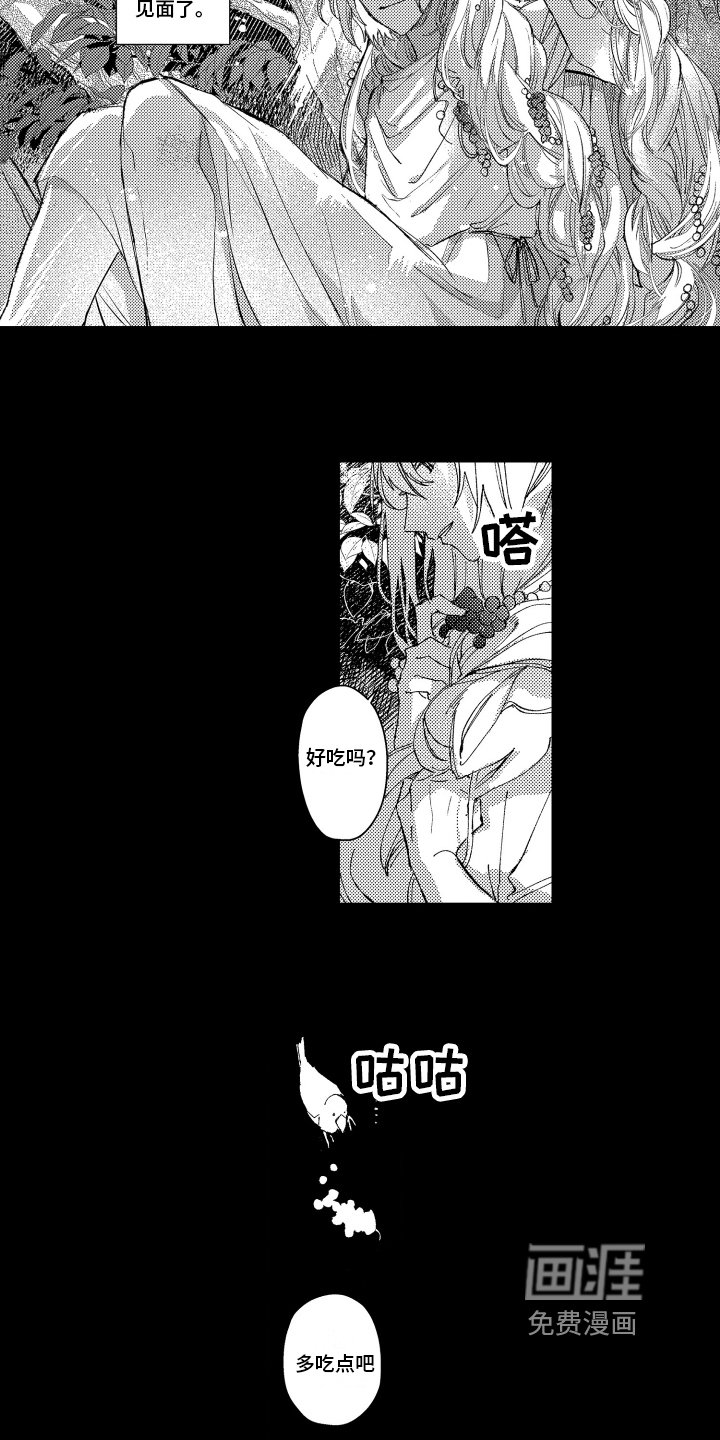 第15章：拯救
