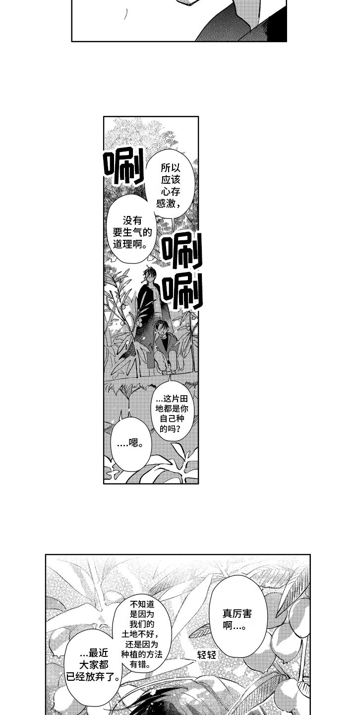 第3章：自由生活
