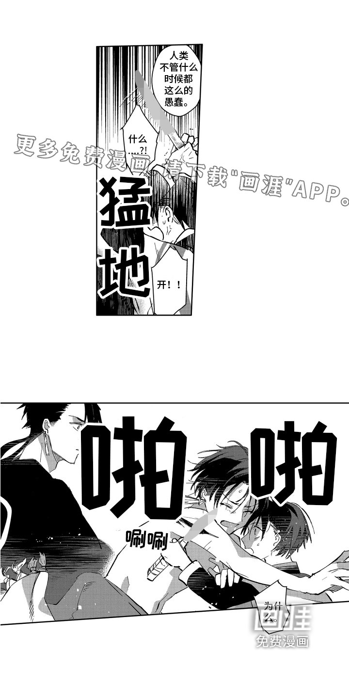 第6章：保护