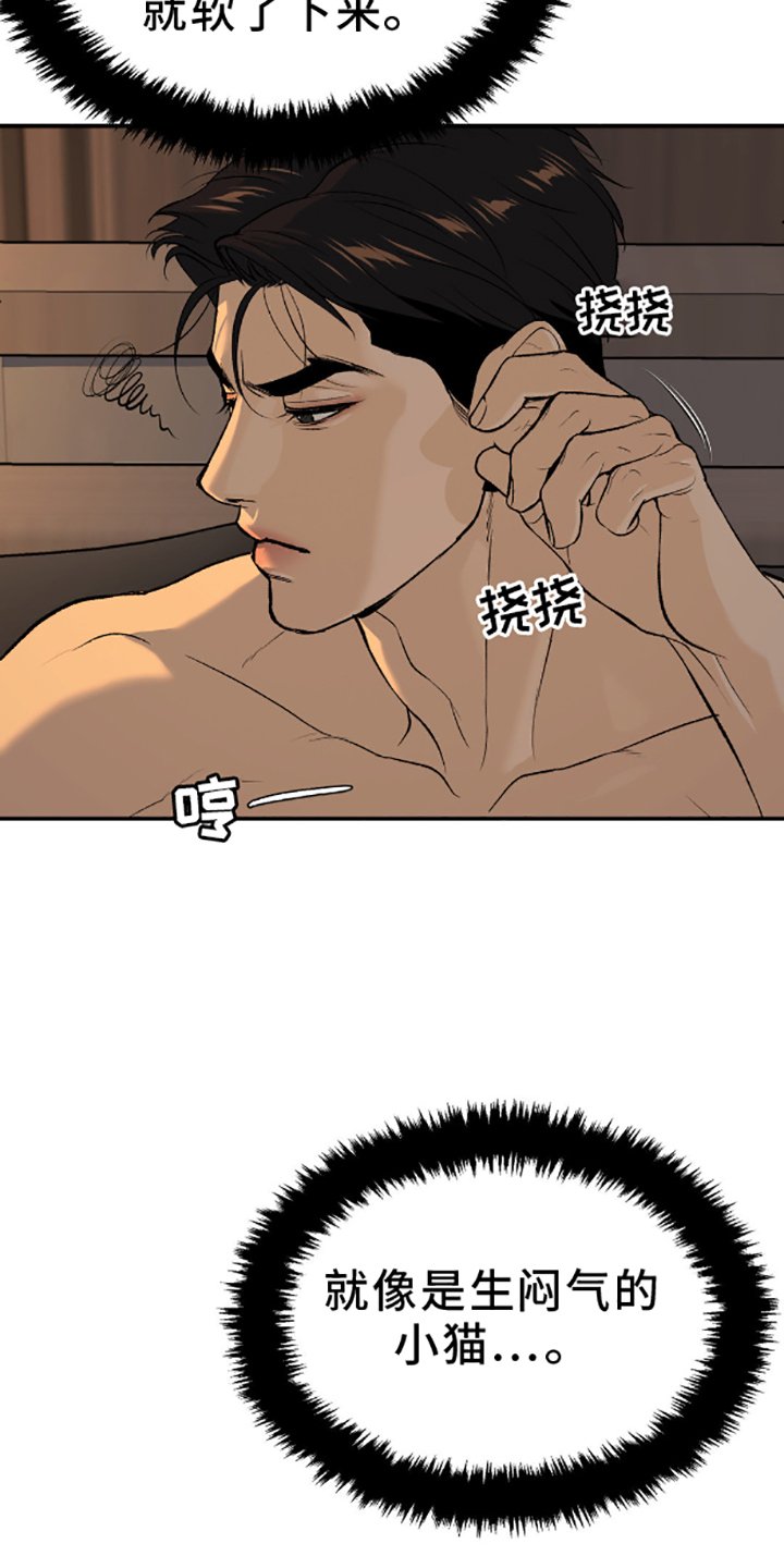 第146章：相爱的人