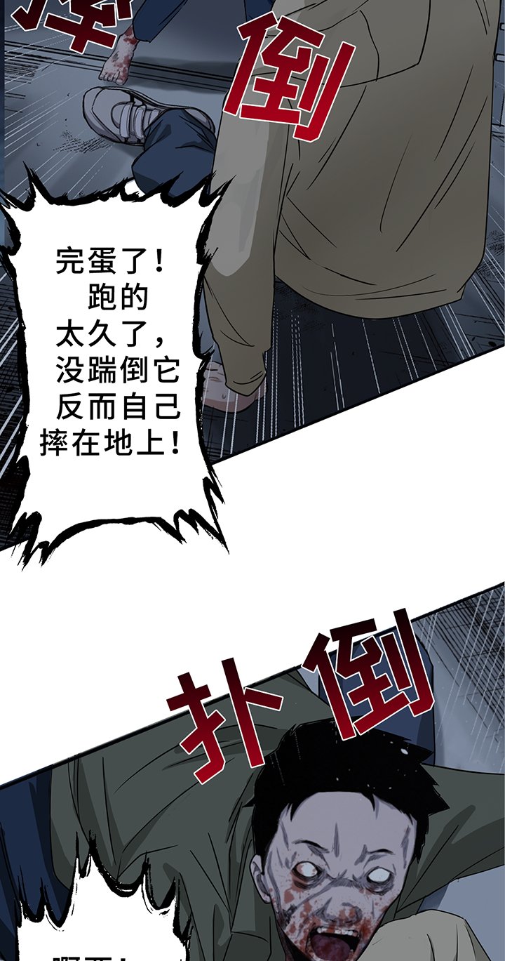 第195章：【同人末世篇】袭击