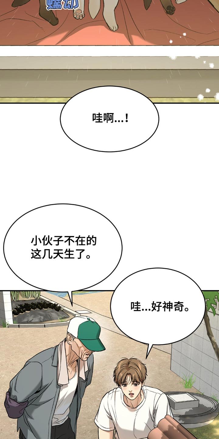 第215章：【第二季】漂亮的小狗