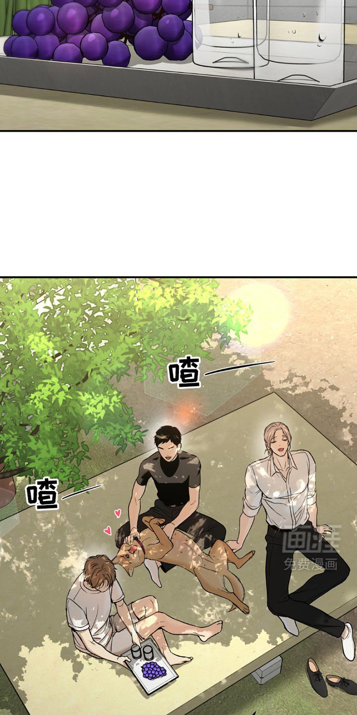 第217章：【第二季】我们很合拍