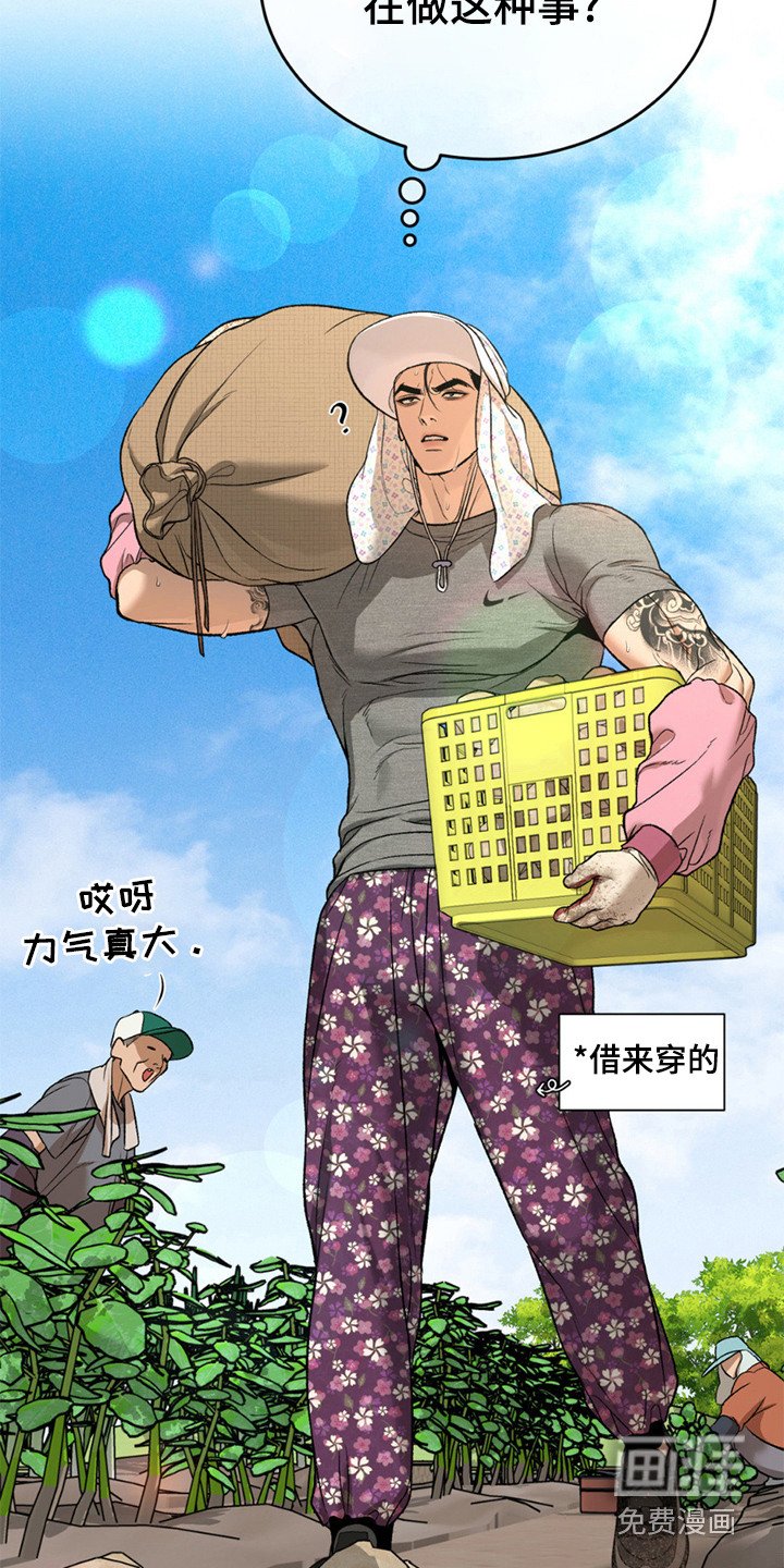 第235章：【第二季】干农活