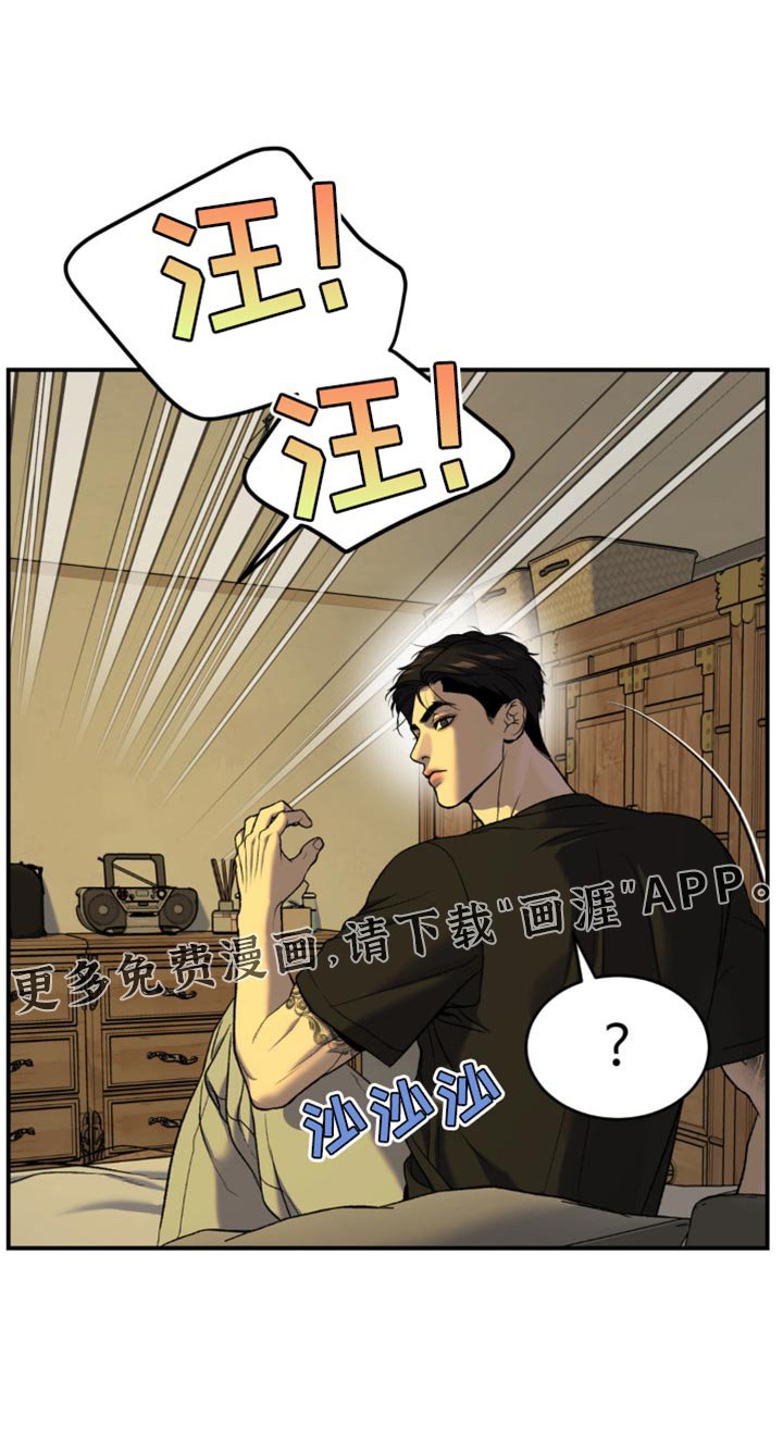 第241章：【第二季】状态奇怪