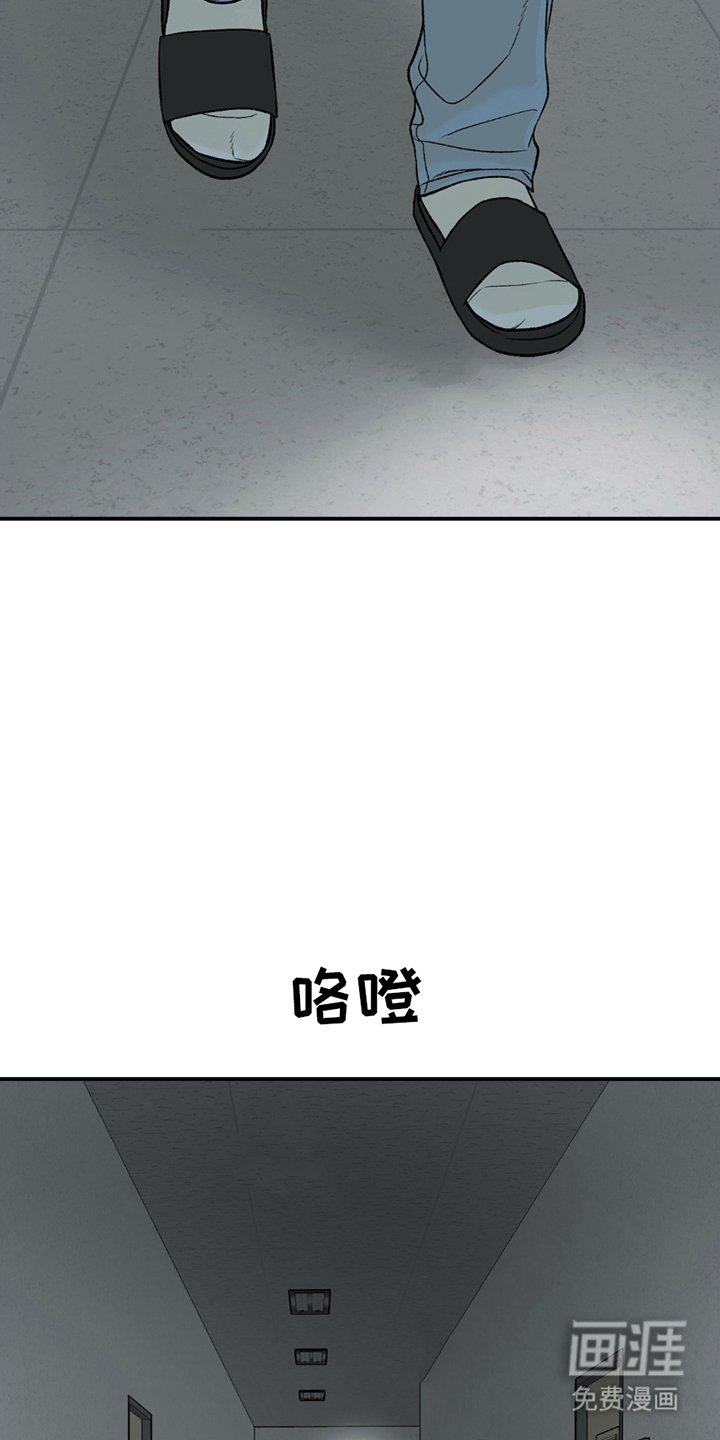 第265章：【第二季】分析