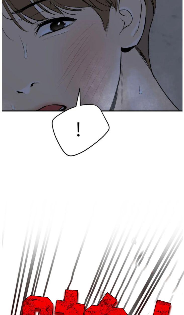 第29章：注视