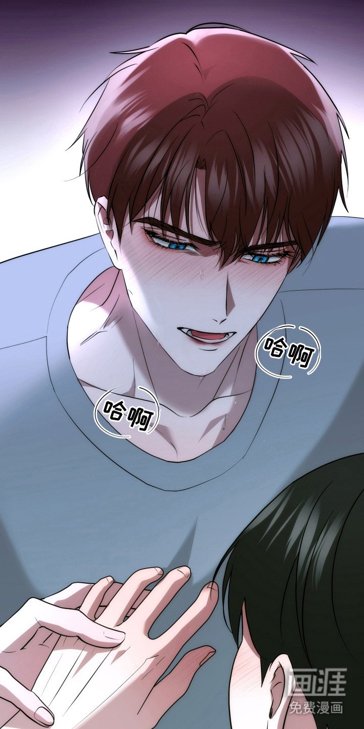 第10章：解释