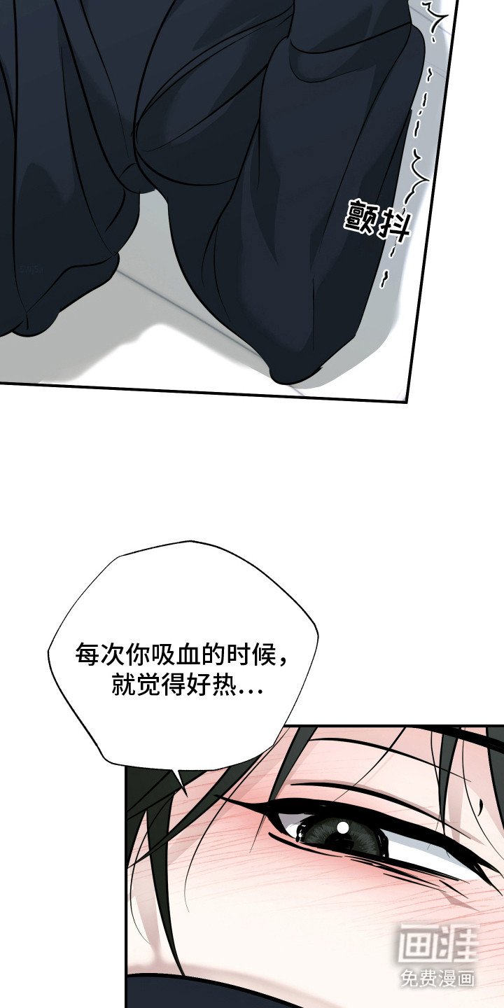 第5章：意识朦胧
