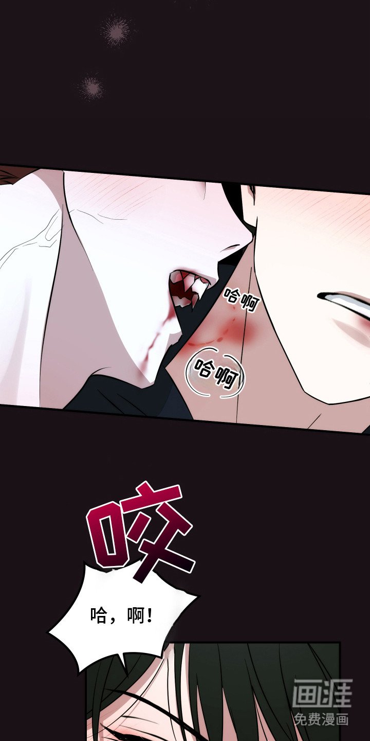 第6章：很可爱