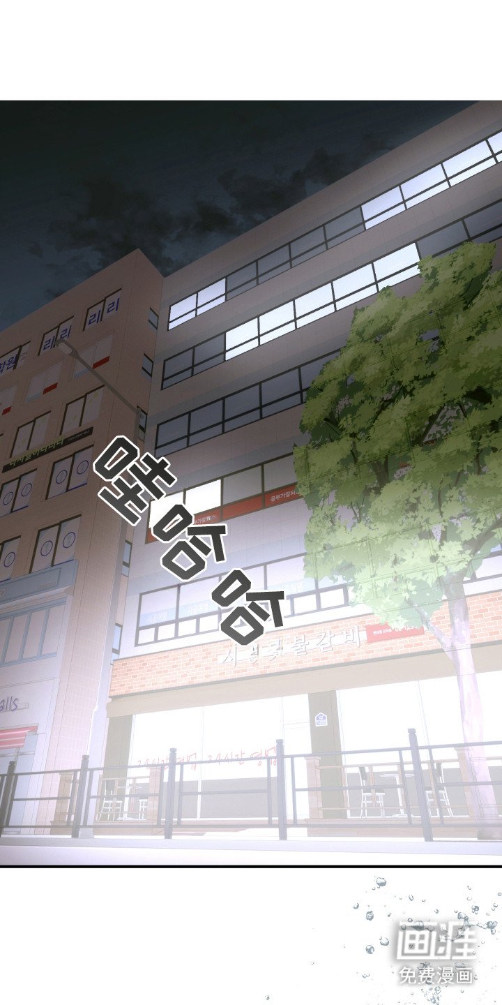 第7章：不同类型