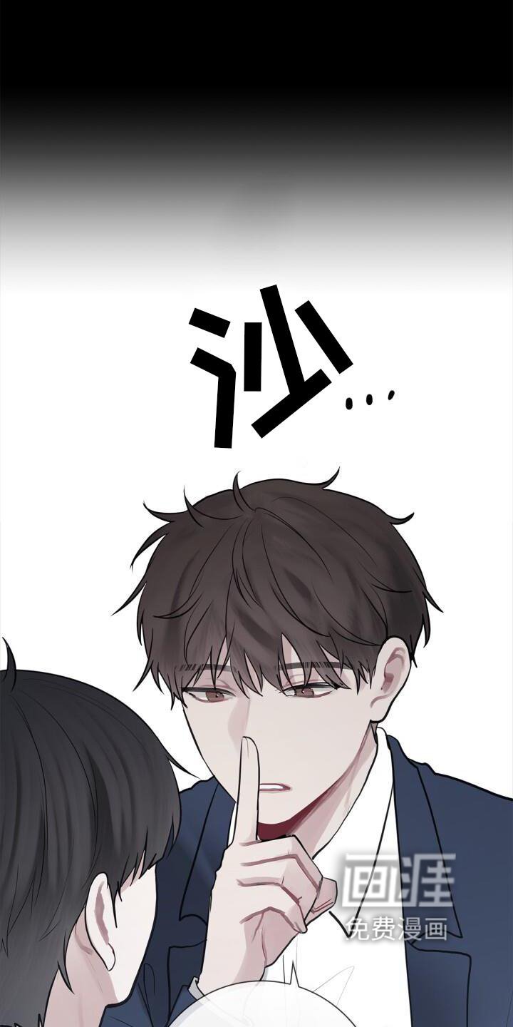 第17章：不好奇吗