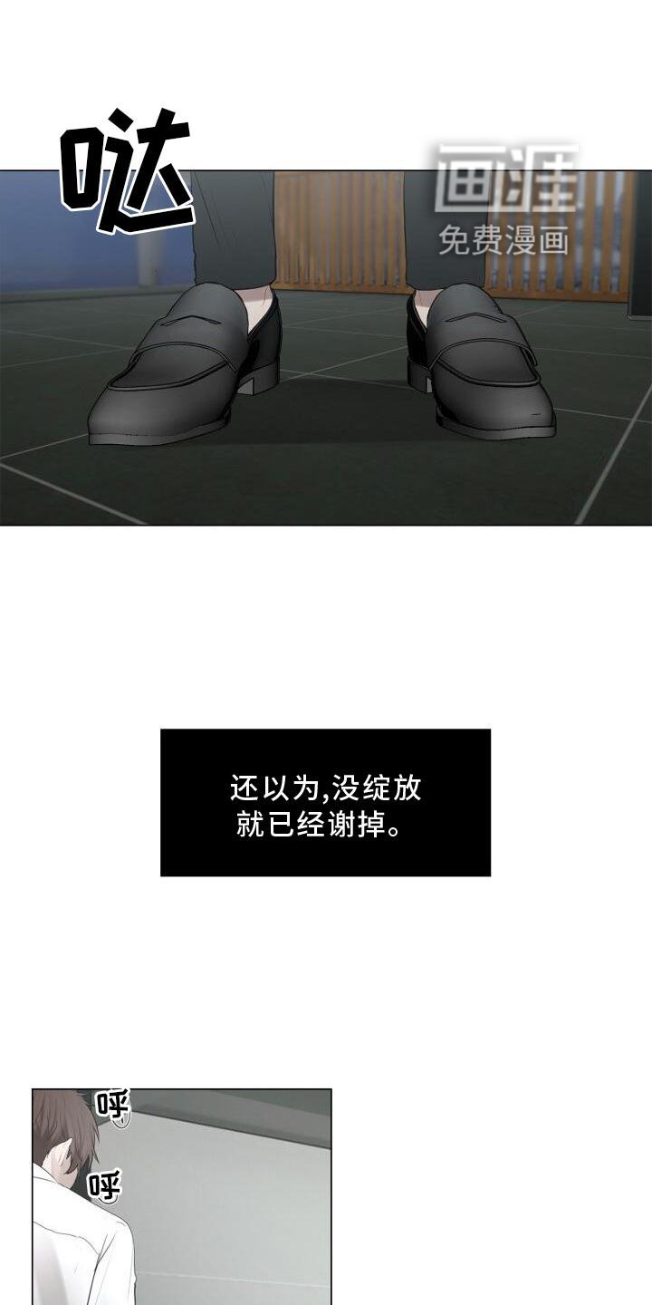 第31章：抓住