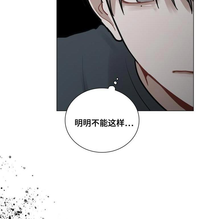 第41章：跟我谈恋爱吧