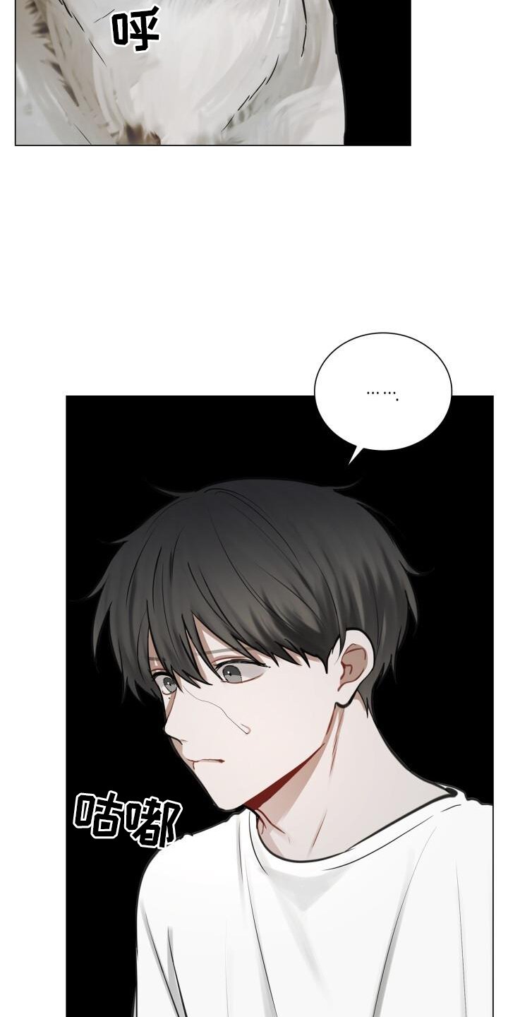 第66章：接触