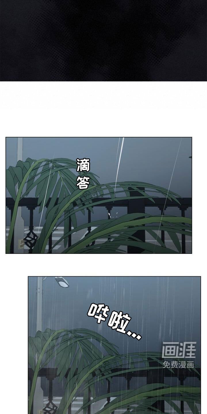 第95章：讨厌下雨