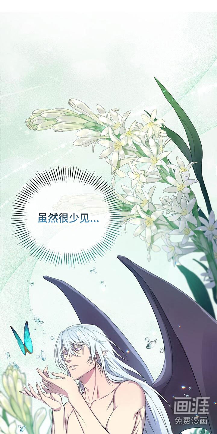 第10章：仙族？！