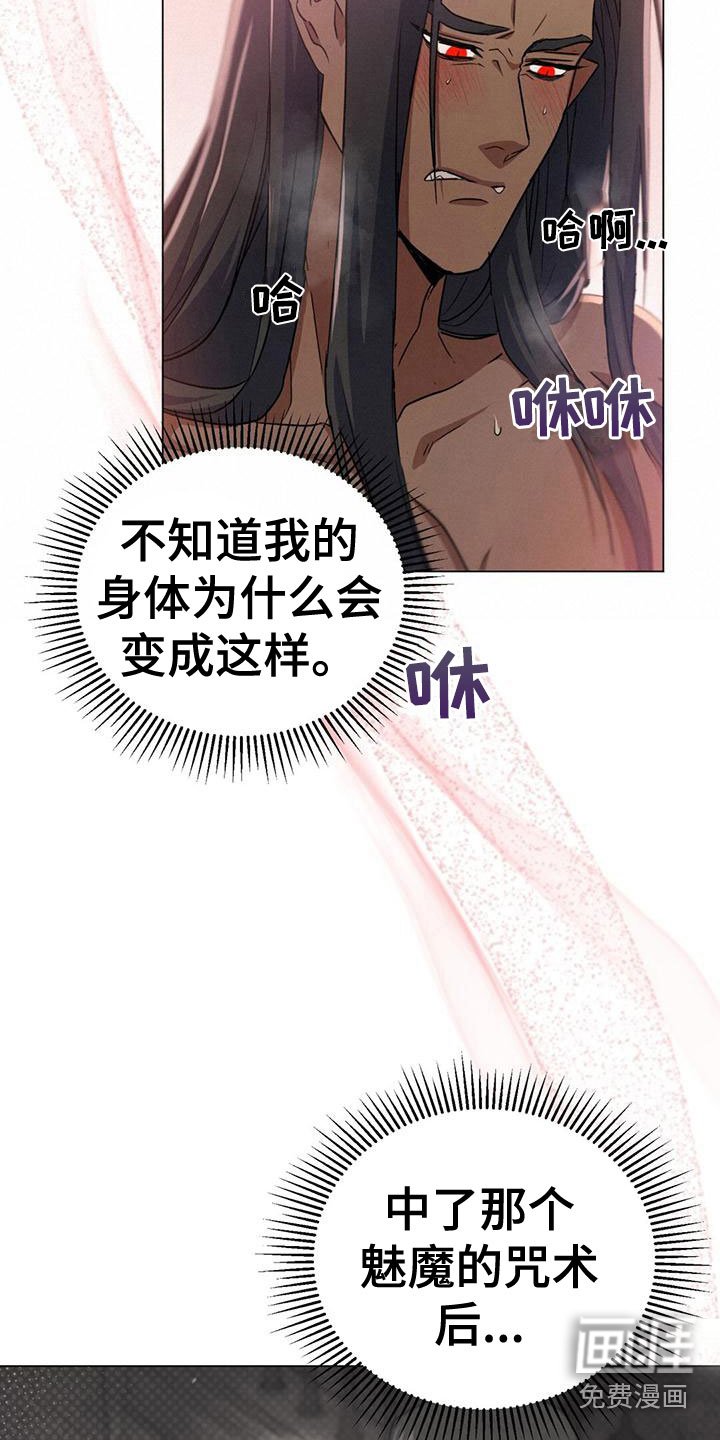 第16章：各有所思