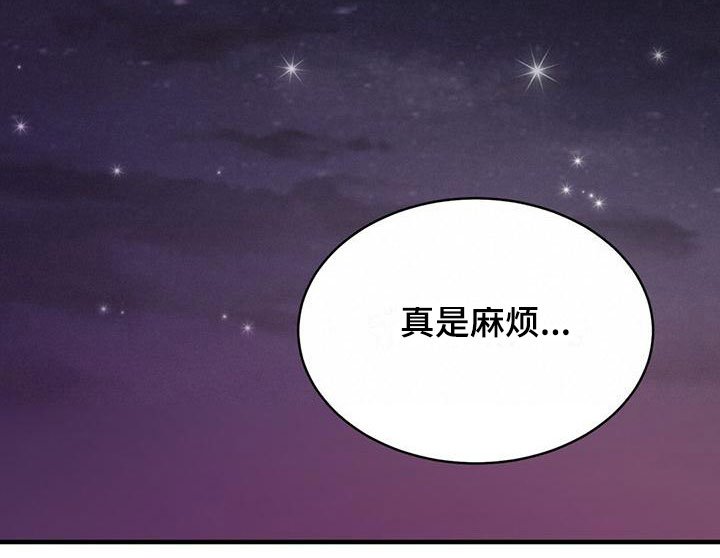 第24章：维护