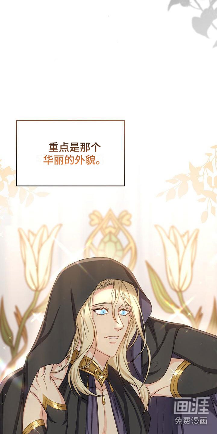第33章：宠物