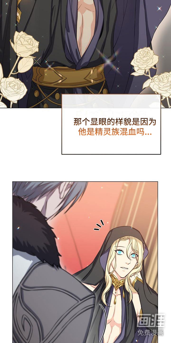 第33章：宠物