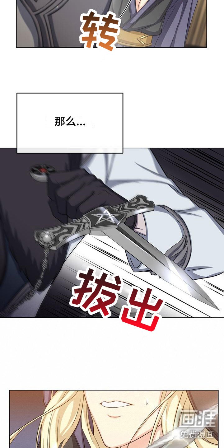 第33章：宠物