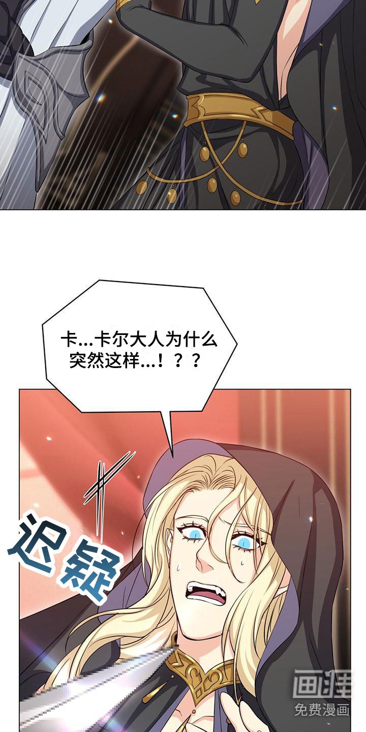 第33章：宠物