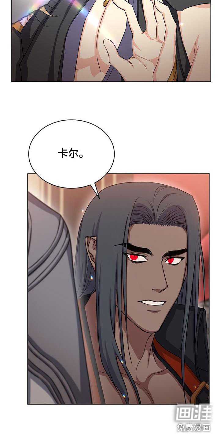 第33章：宠物