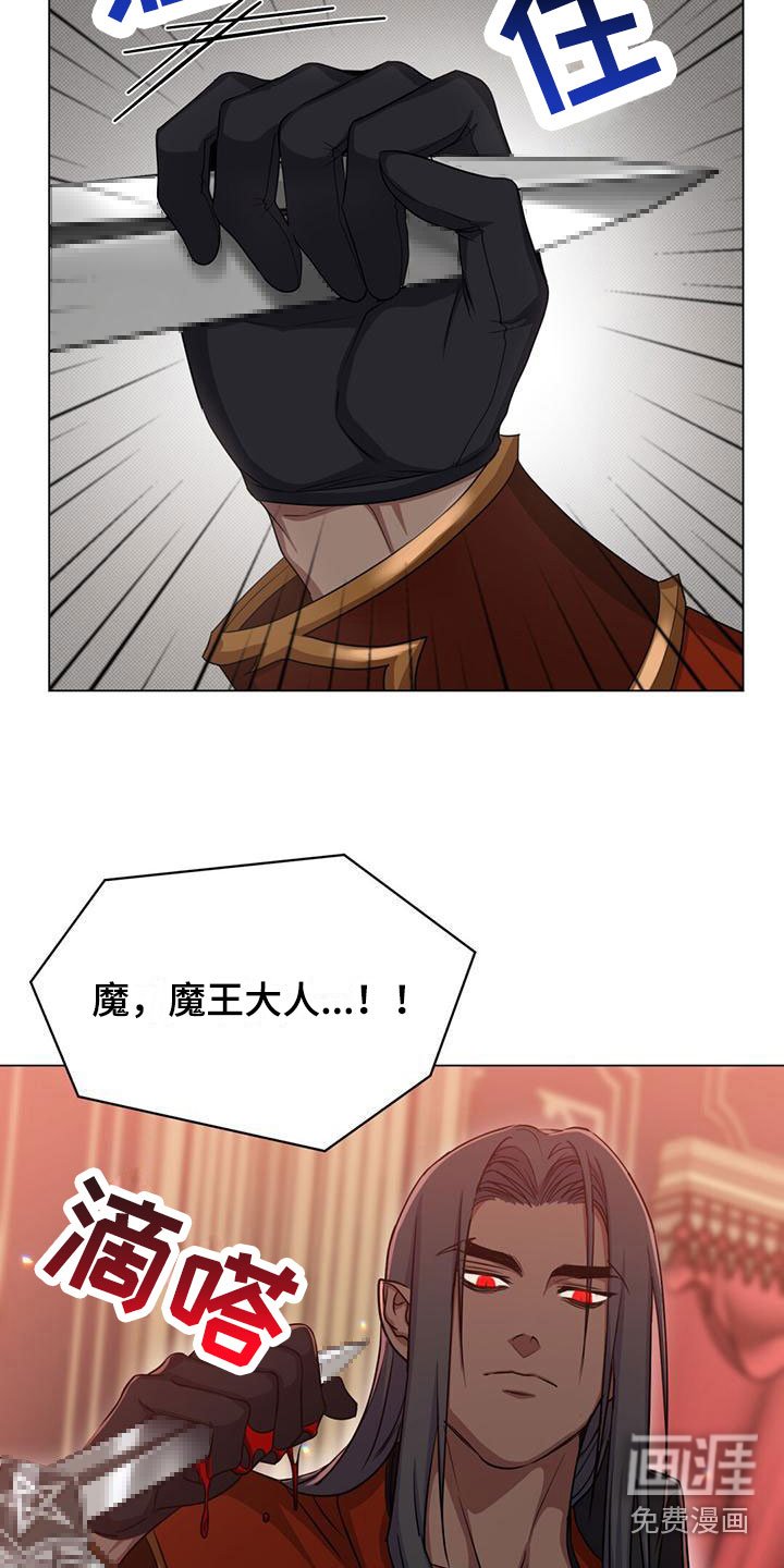 第33章：宠物