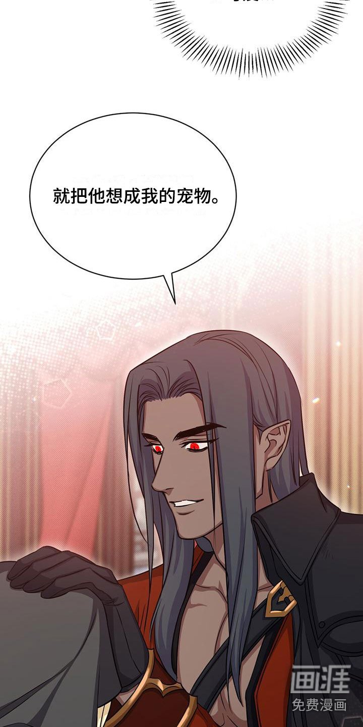 第33章：宠物