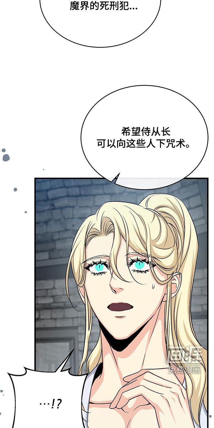 第77章：成功