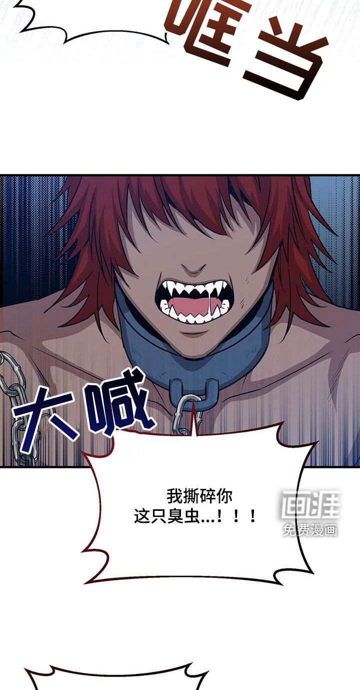 第77章：成功