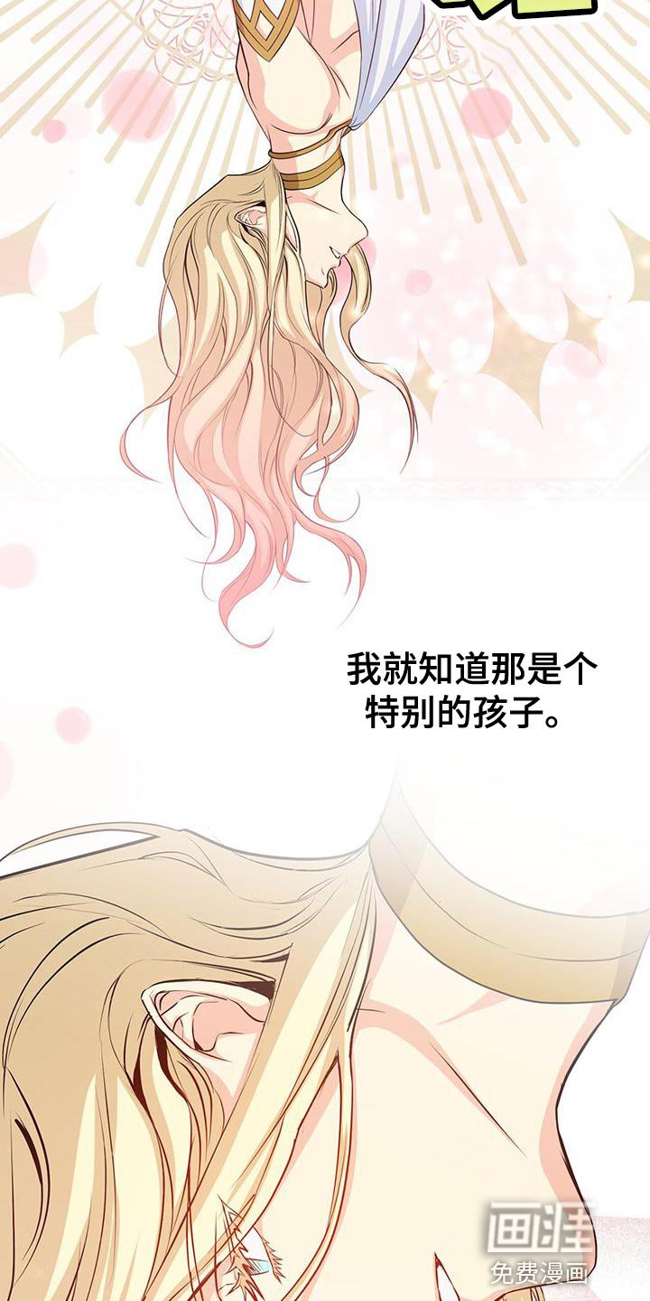 第88章：作战会议