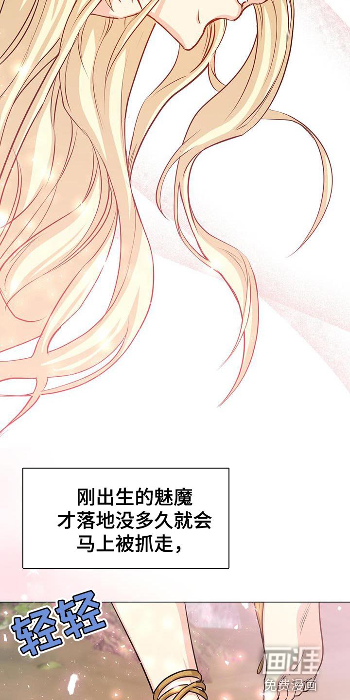 第88章：作战会议