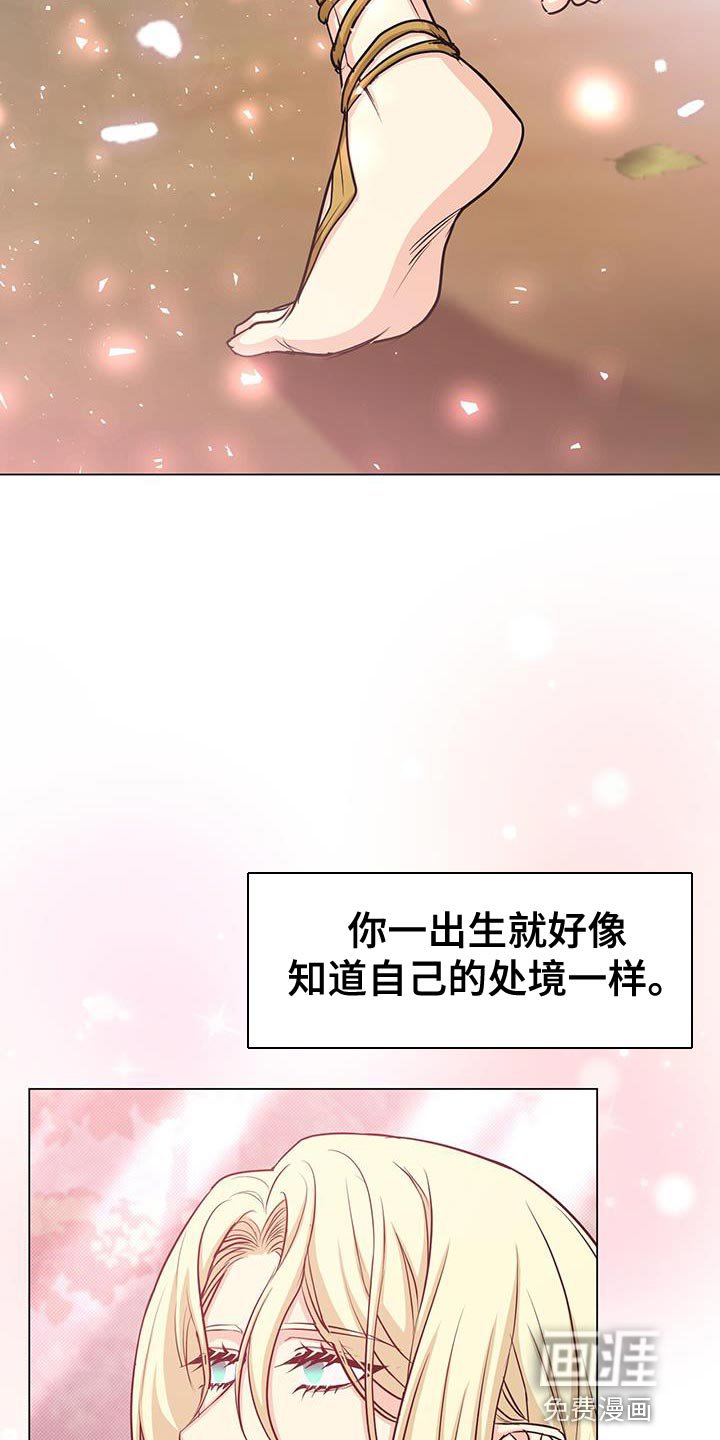 第88章：作战会议