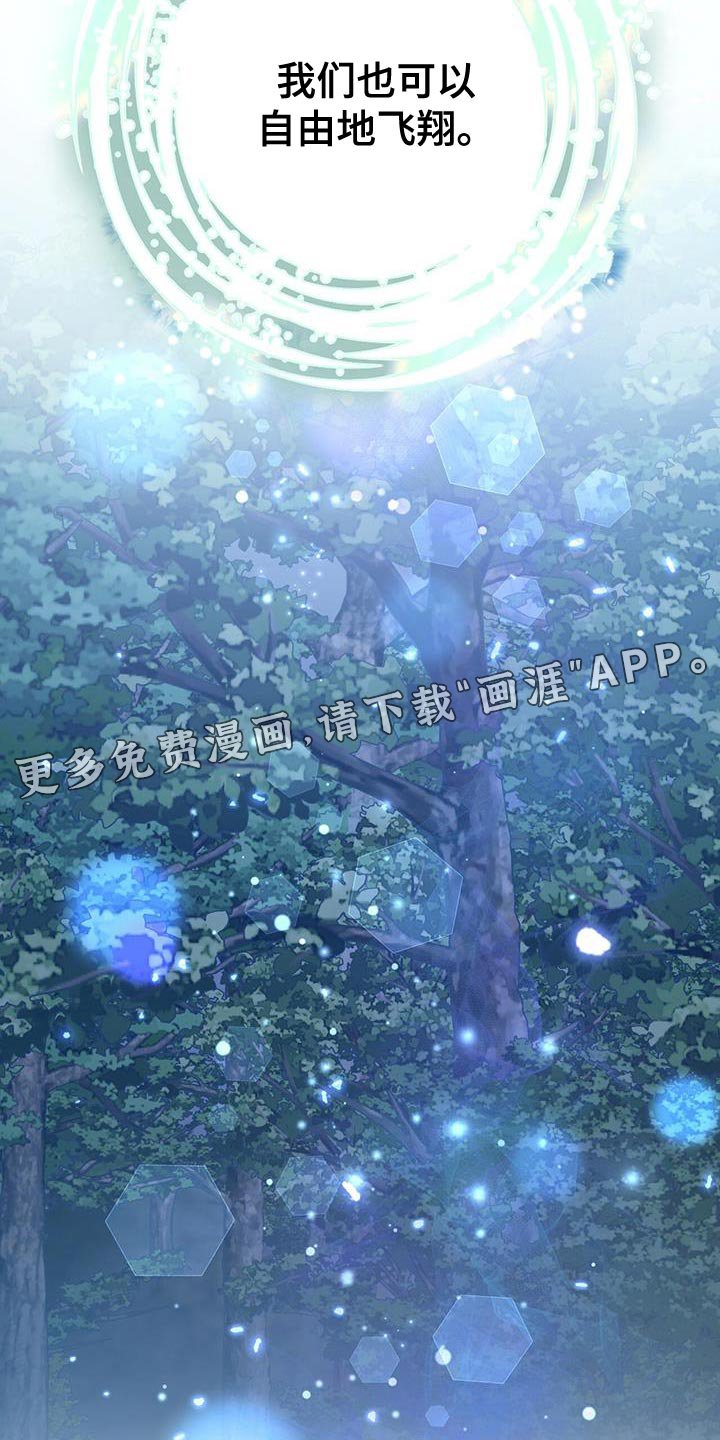 第93章：自由地飞翔