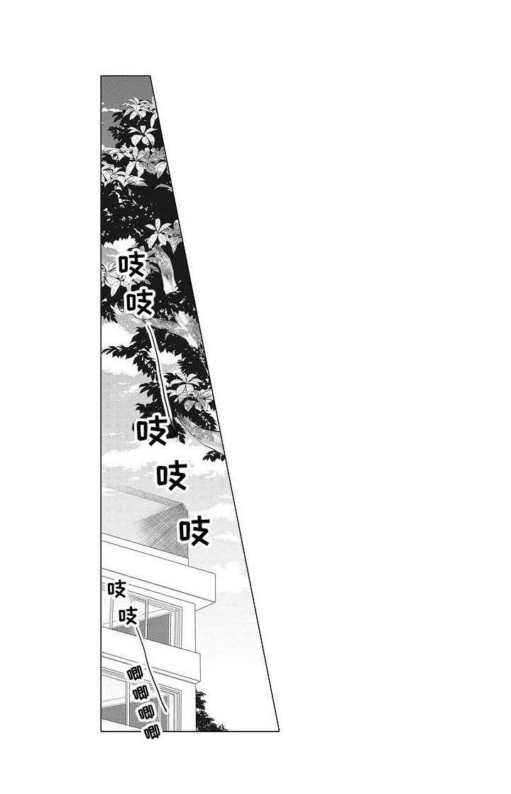第14章：摄影家