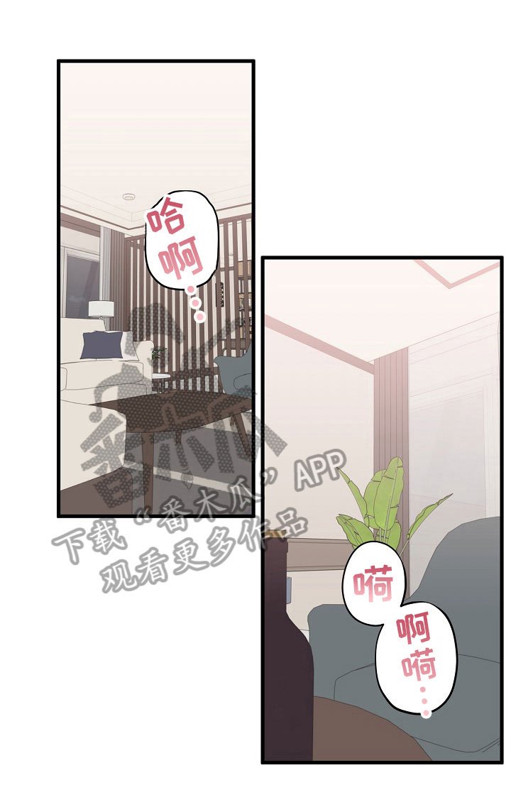 第3章：放弃