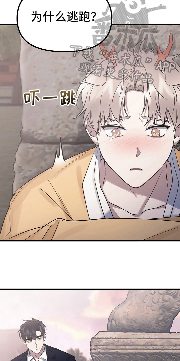 第5章：姻缘【完结】