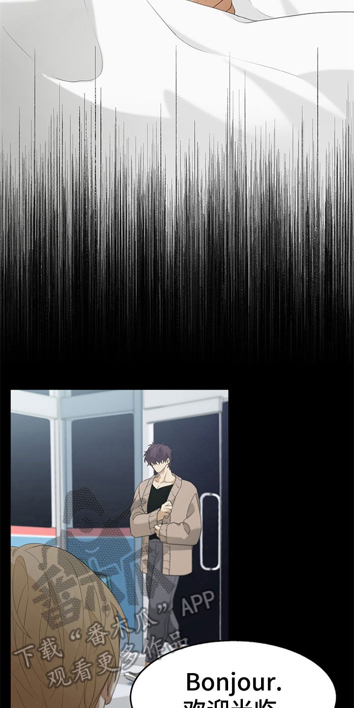 第5章：相似