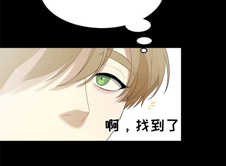 第5章：相似