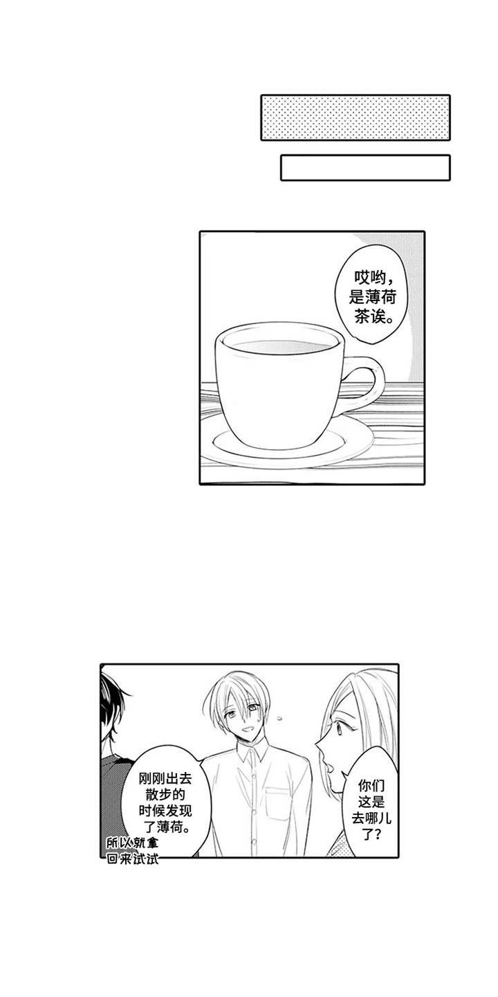 第13章：药酒