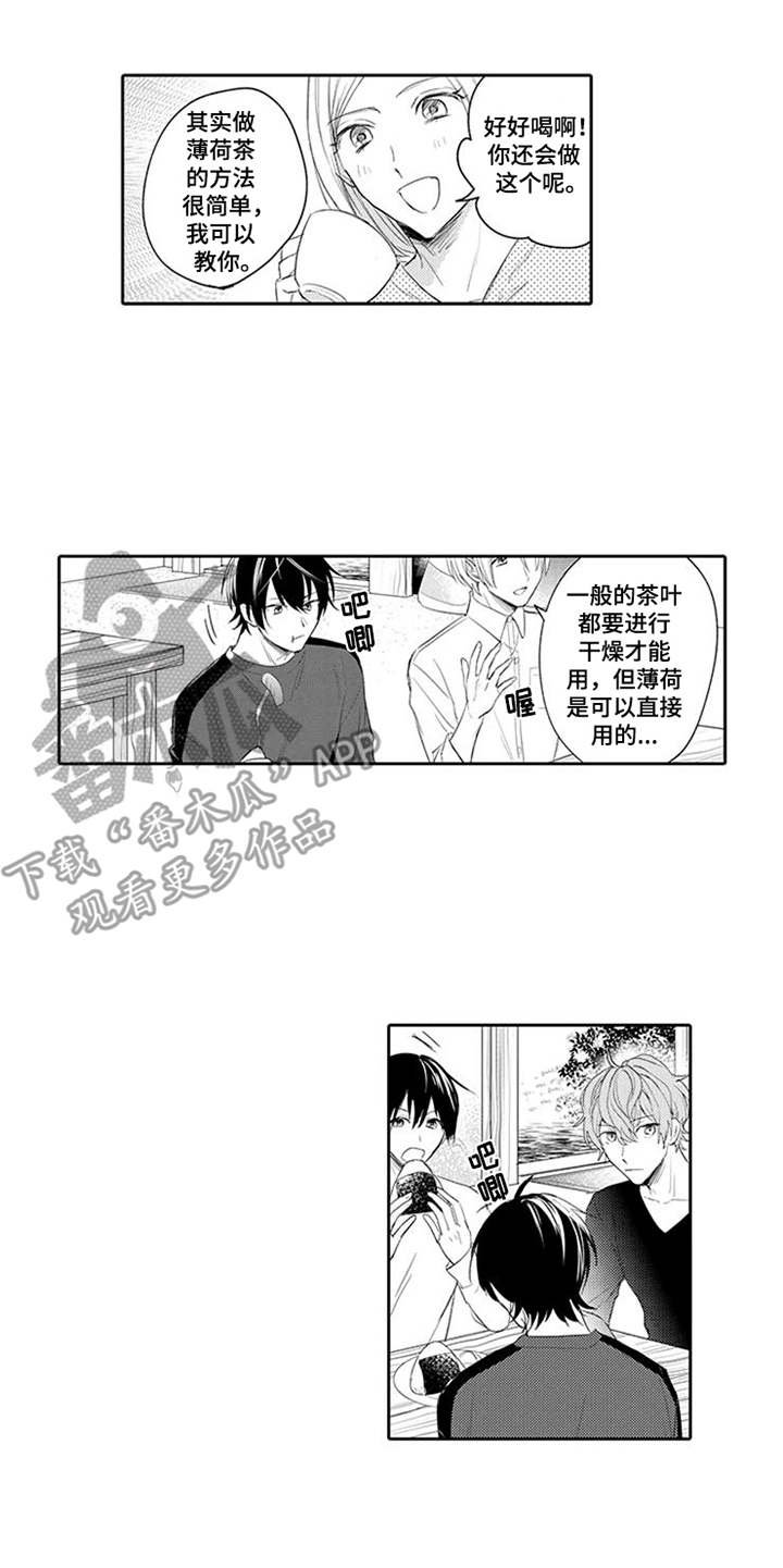 第13章：药酒