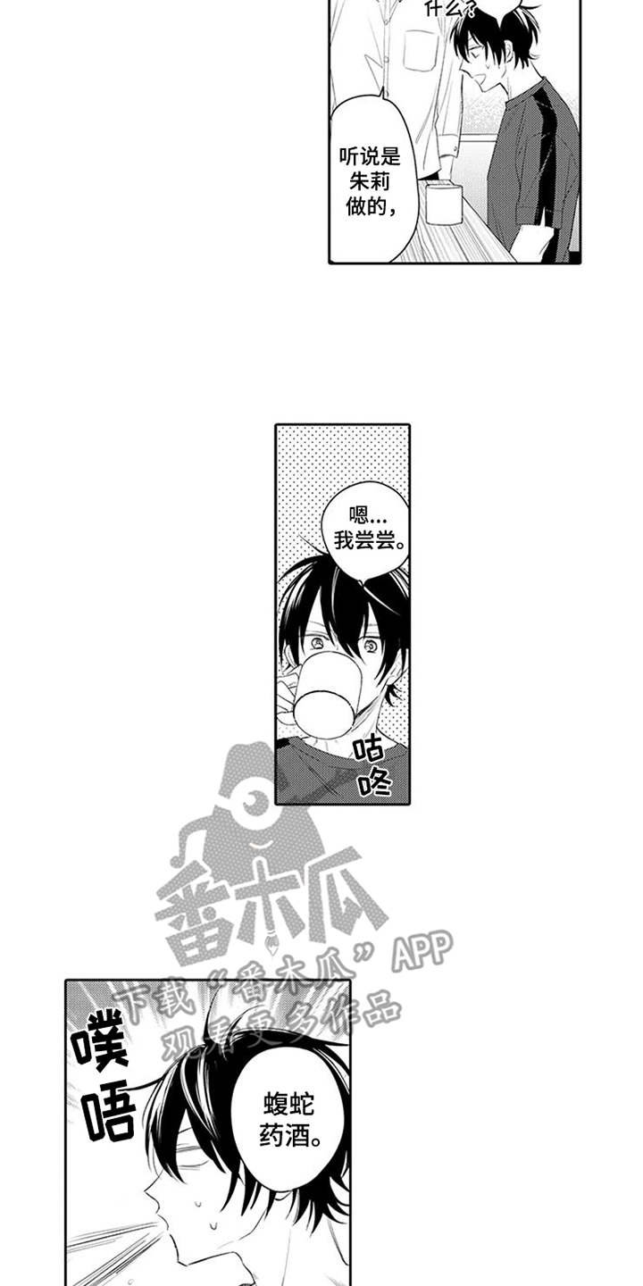 第13章：药酒
